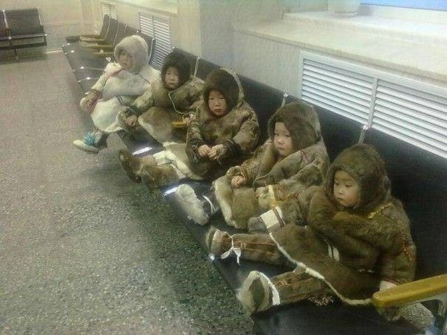 Daily Picdump