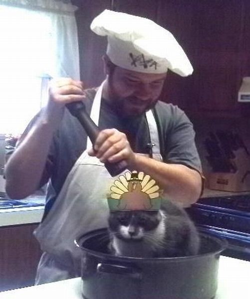 Daily Picdump