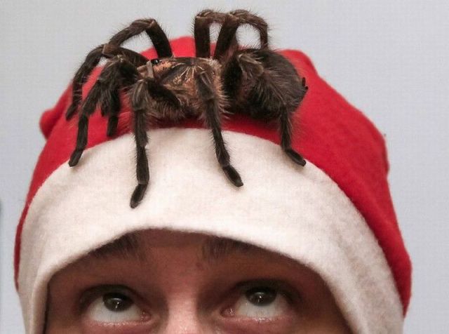 Content Image