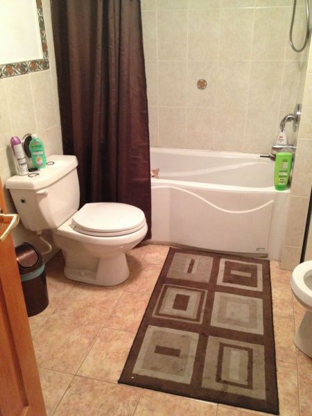 Content Image
