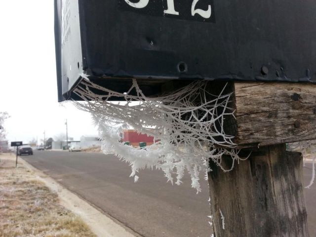 Morning Picdump