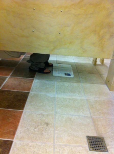Morning Picdump