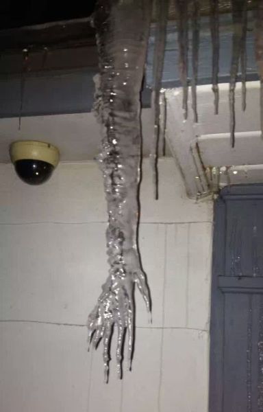Content Image