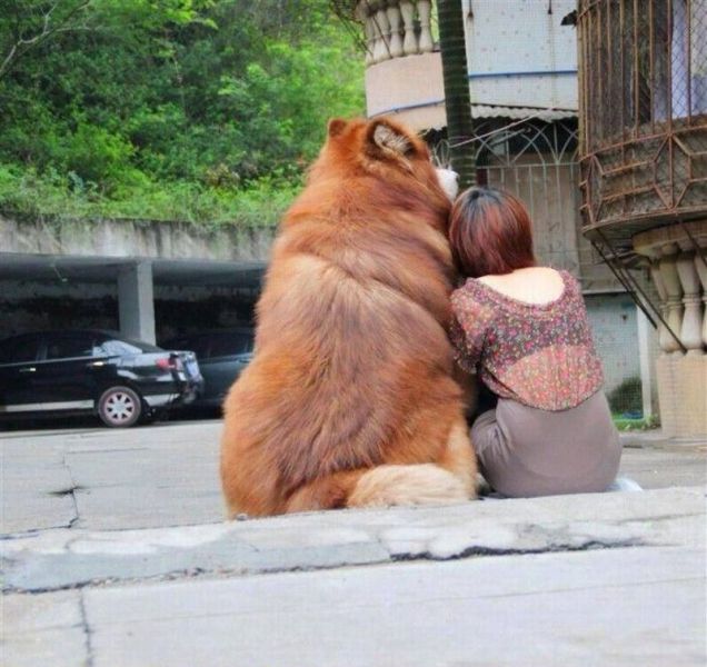 Content Image