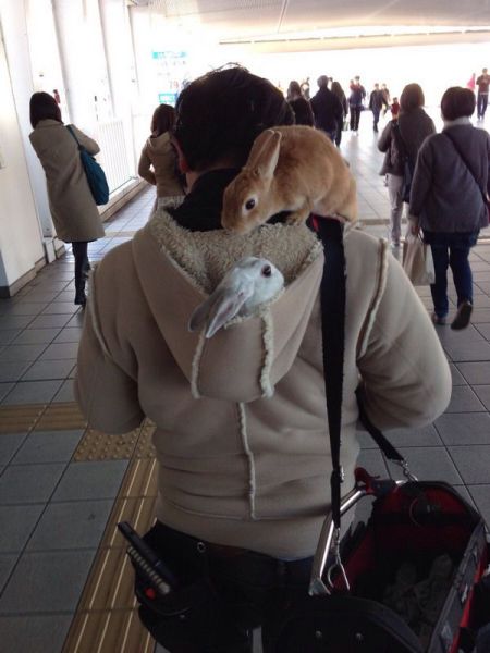 Morning Picdump
