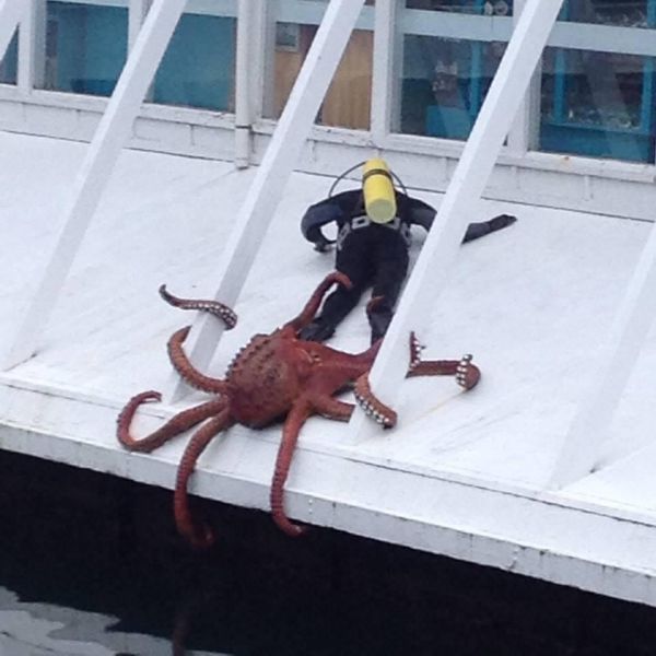 Morning Picdump