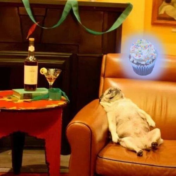 Daily Picdump