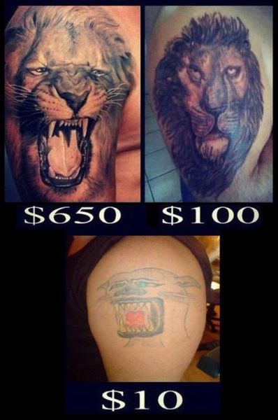 Morning Picdump