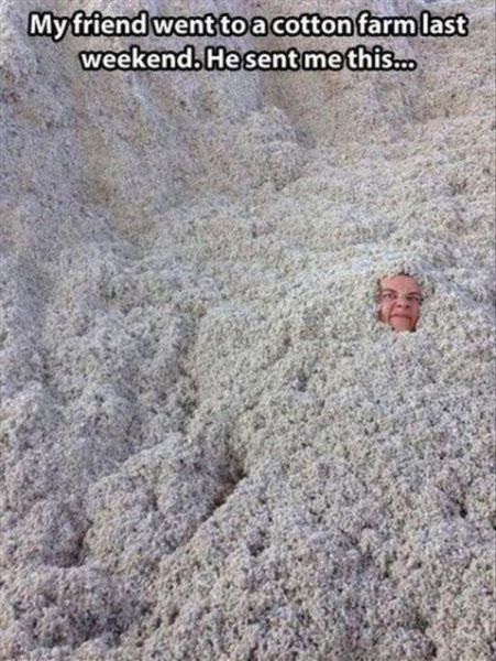 Content Image