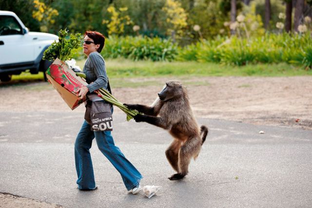 Daily Picdump