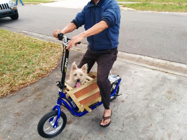 Daily Picdump