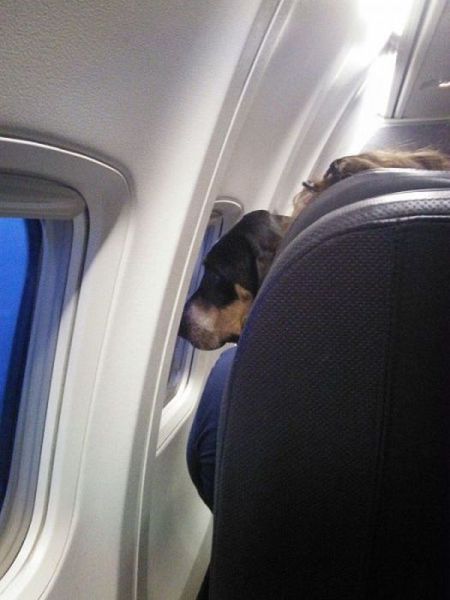 Content Image