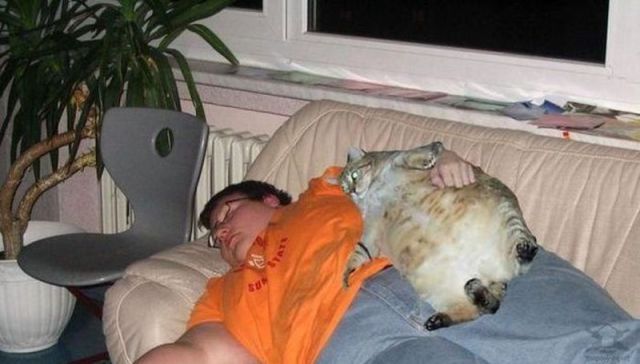 Content Image