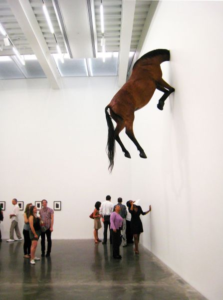 Content Image