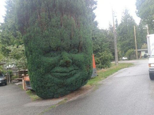 Content Image