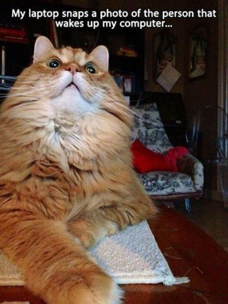 Content Image