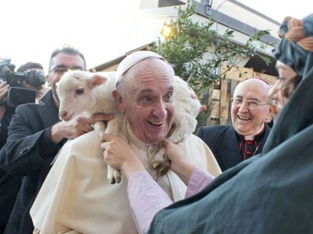 Morning Picdump