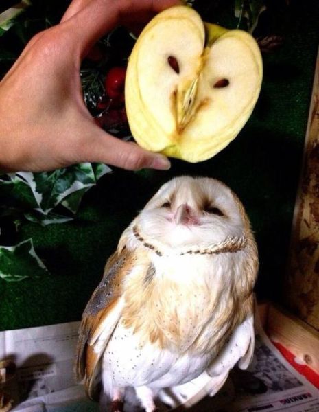 Morning Picdump