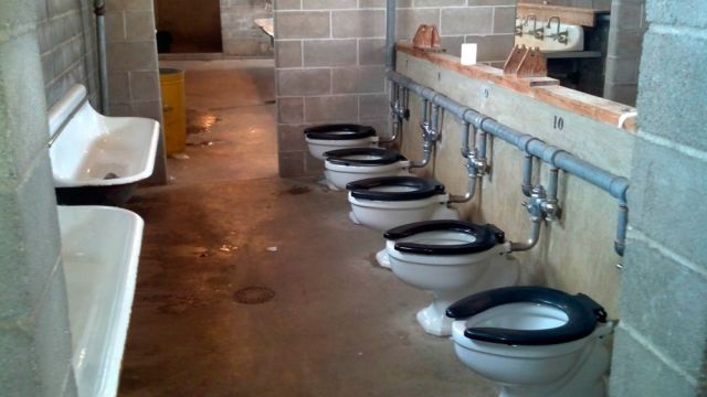 Content Image
