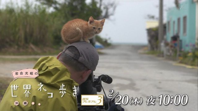 Content Image