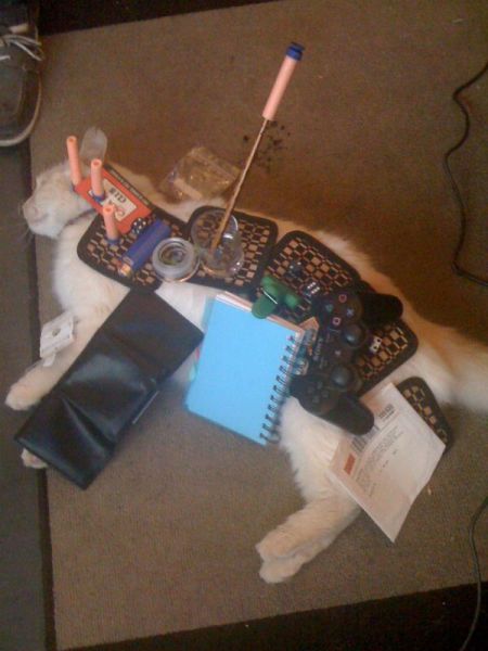 Content Image