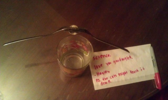 Morning Picdump