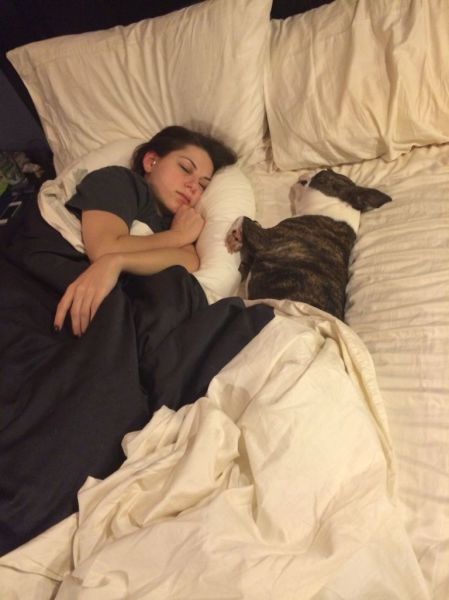 Content Image