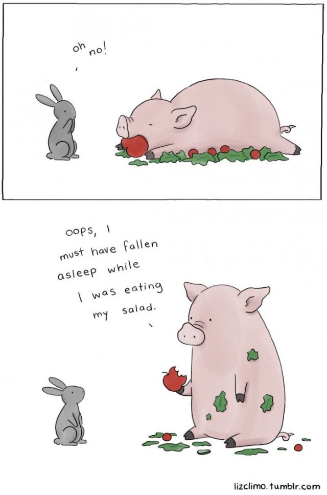 Funny Picdump