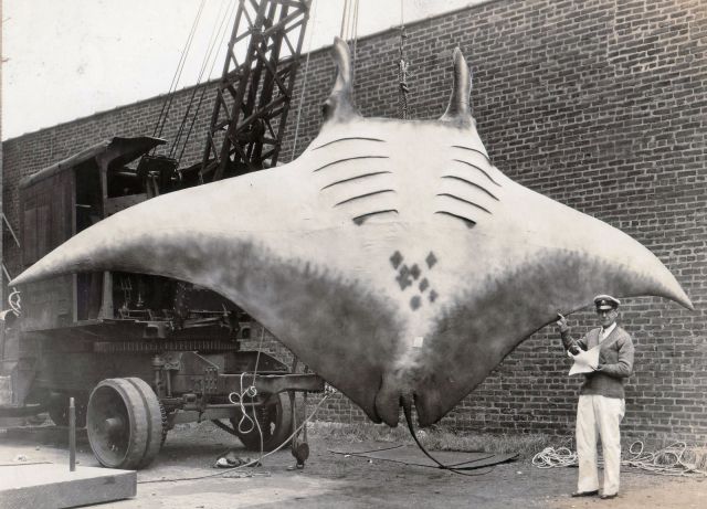 Great Historic Photographs