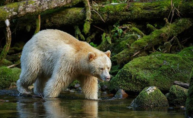 Magnificent Nature Photography