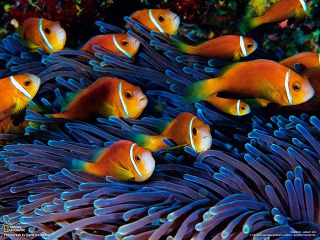 Magnificent Nature Photography