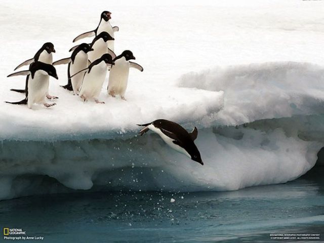 Magnificent Nature Photography