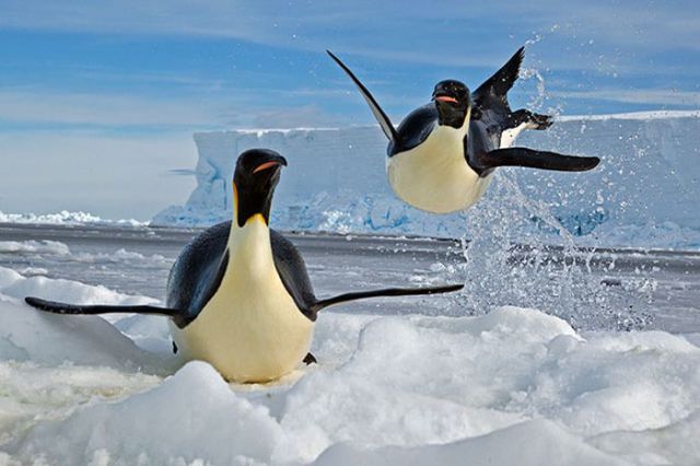 Magnificent Nature Photography