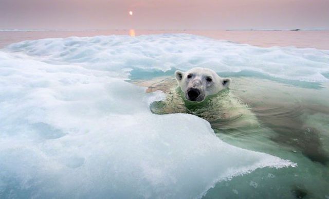 Magnificent Nature Photography