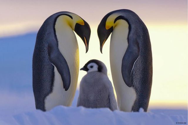 Magnificent Nature Photography