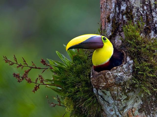 Magnificent Nature Photography