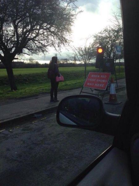 Morning Picdump