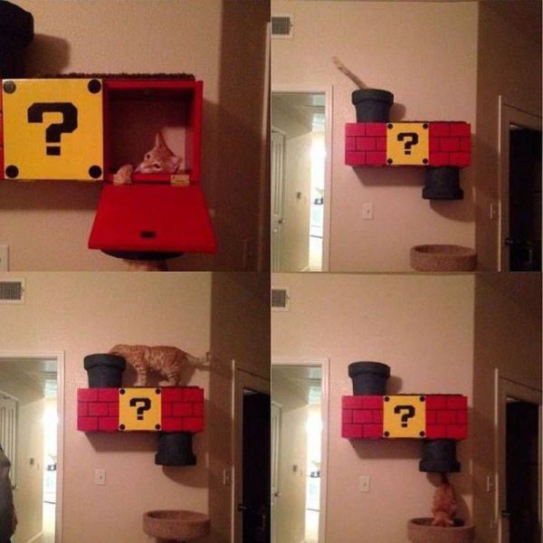Content Image