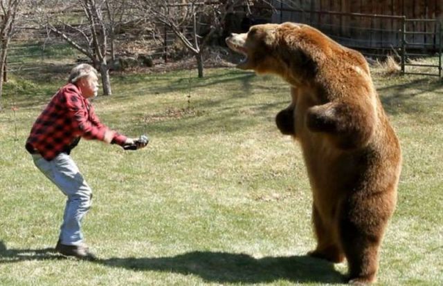 Content Image