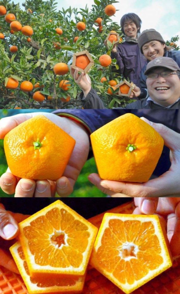 Content Image