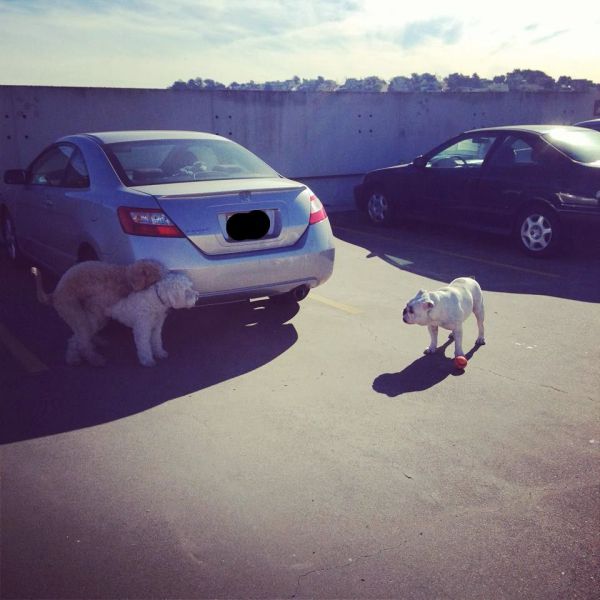 Morning Picdump