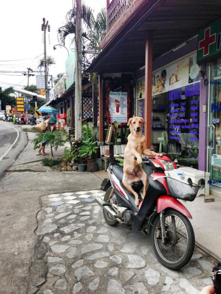 Content Image