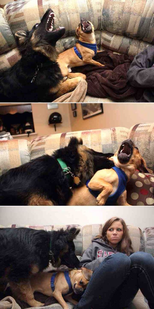 Content Image