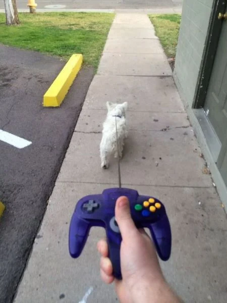 Content Image