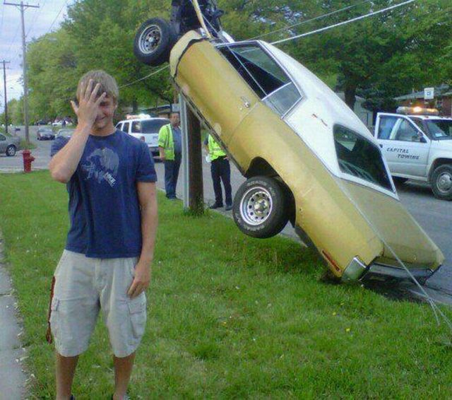 Daily Picdump