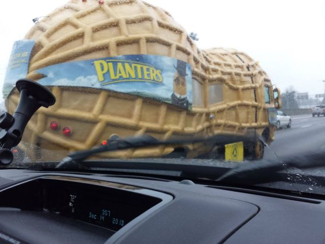 Content Image