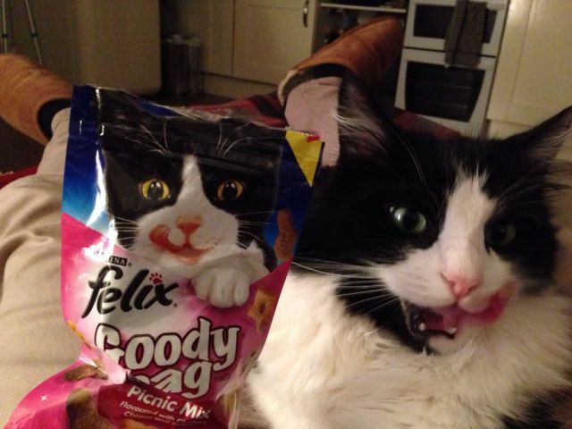Morning Picdump