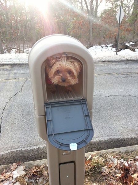 Content Image