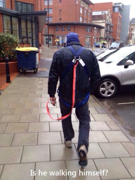 Morning Picdump
