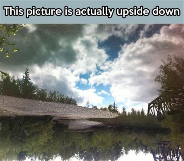 Morning Picdump